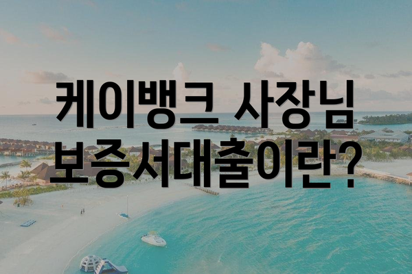 케이뱅크 사장님 보증서대출이란?