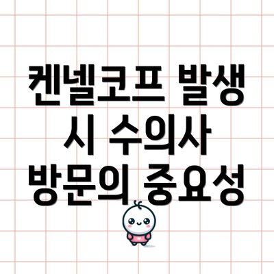 켄넬코프 발생 시 수의사 방문의 중요성