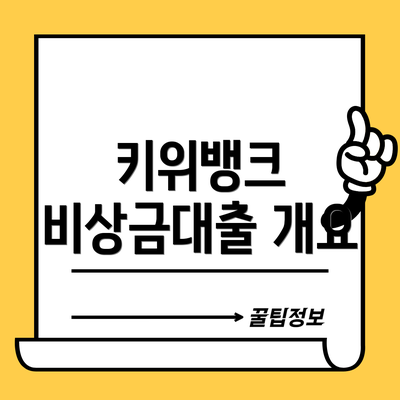 키위뱅크 비상금대출 개요