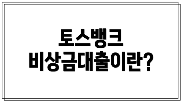 토스뱅크 비상금대출이란?