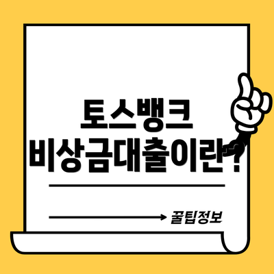 토스뱅크 비상금대출이란?
