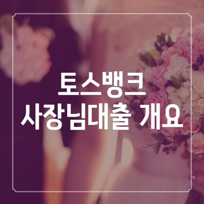 토스뱅크 사장님대출 개요