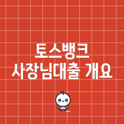 토스뱅크 사장님대출 개요