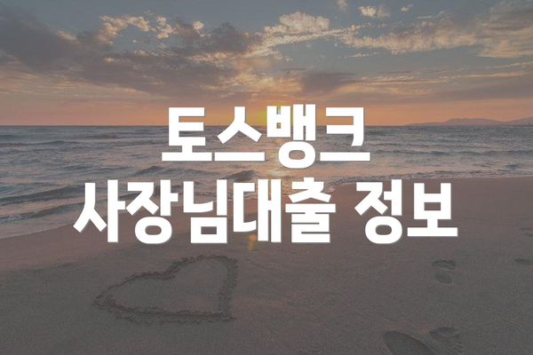 토스뱅크 사장님대출 정보