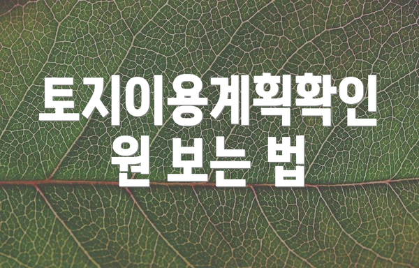 토지이용계획확인원 보는 법