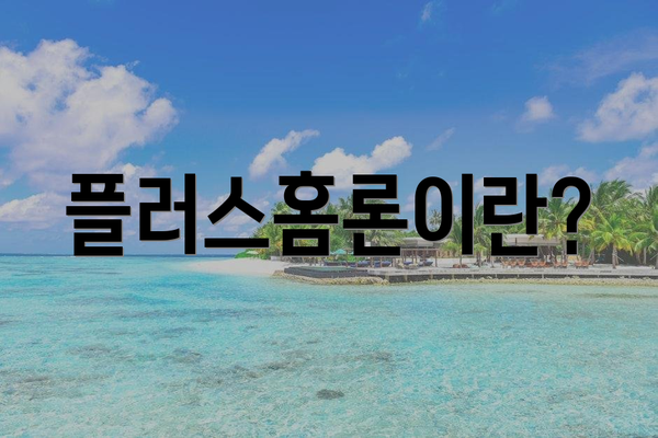 플러스홈론이란?