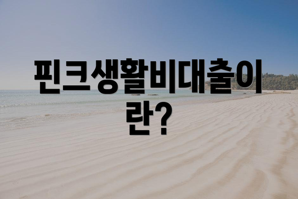 핀크생활비대출이란?