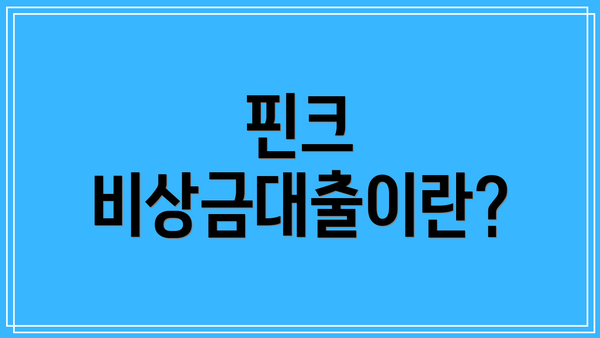 핀크 비상금대출이란?
