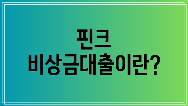 핀크 비상금대출이란?