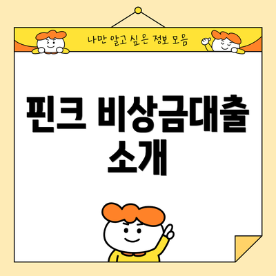 핀크 비상금대출 소개
