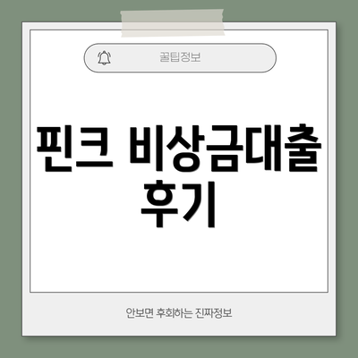 핀크 비상금대출 후기