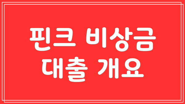 핀크 비상금 대출 개요