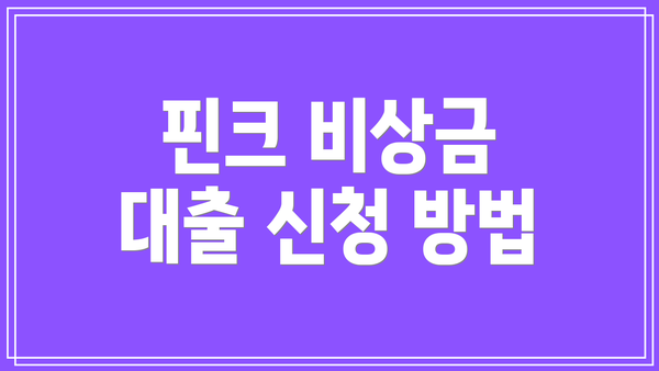 핀크 비상금 대출 신청 방법