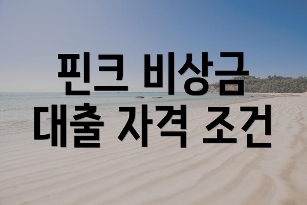 핀크 비상금 대출 자격 조건