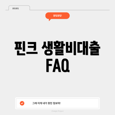 핀크 생활비대출 FAQ