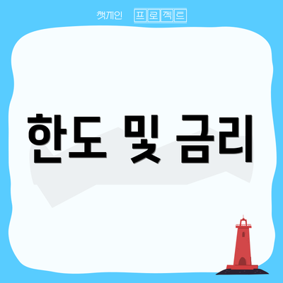 한도 및 금리
