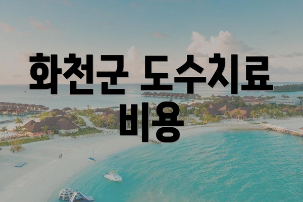 화천군 도수치료 비용