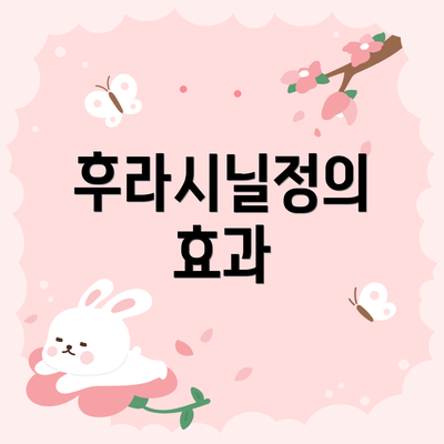 후라시닐정의 효과