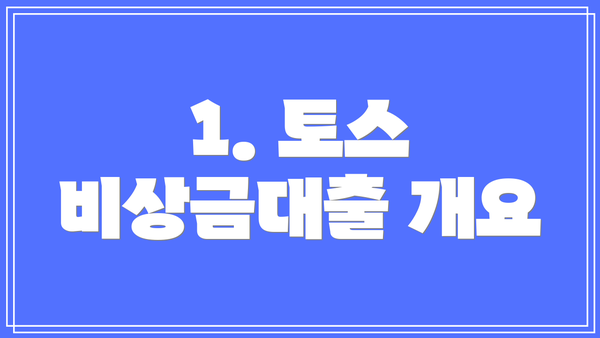 1. 토스 비상금대출 개요