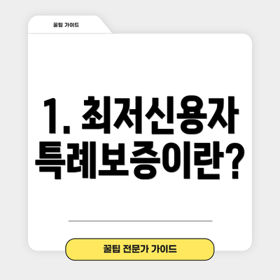 1. 최저신용자 특례보증이란?