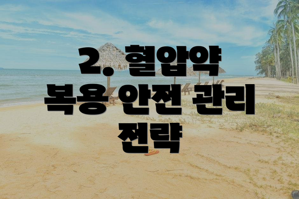 2. 혈압약 복용 안전 관리 전략