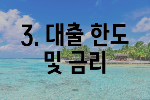 3. 대출 한도 및 금리