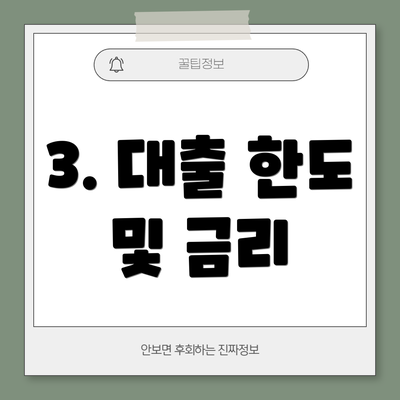 3. 대출 한도 및 금리