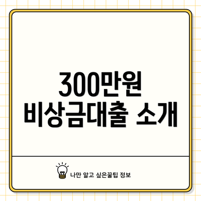 300만원 비상금대출 소개