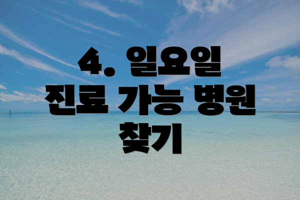 4. 일요일 진료 가능 병원 찾기