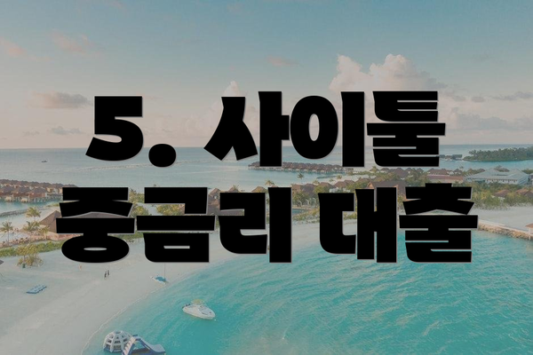5. 사이툴 중금리 대출