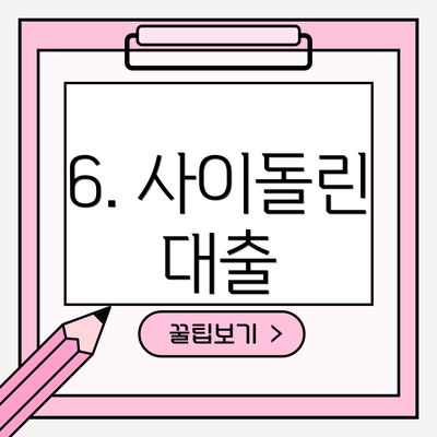 6. 사이돌린 대출