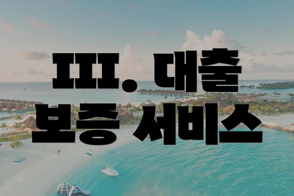 III. 대출 보증 서비스