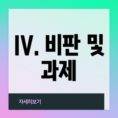 IV. 비판 및 과제