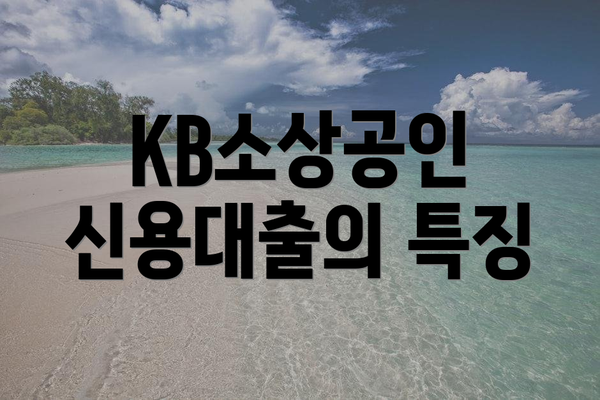 KB소상공인 신용대출의 특징