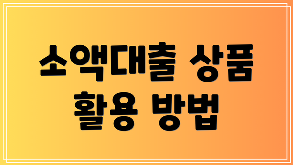 소액대출 상품 활용 방법