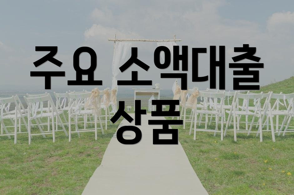 주요 소액대출 상품