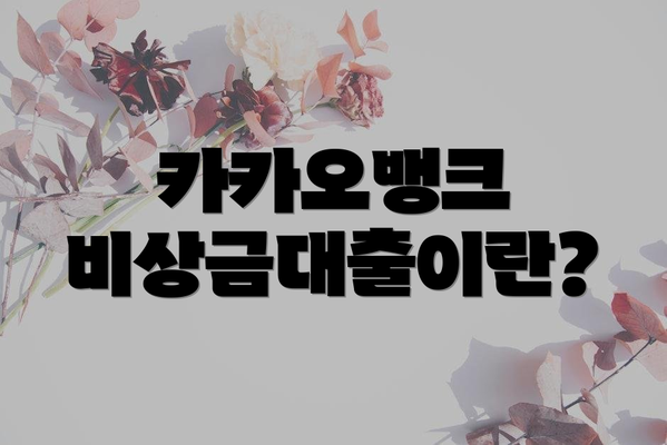 카카오뱅크 비상금대출이란?