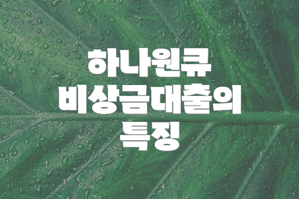 하나원큐 비상금대출의 특징
