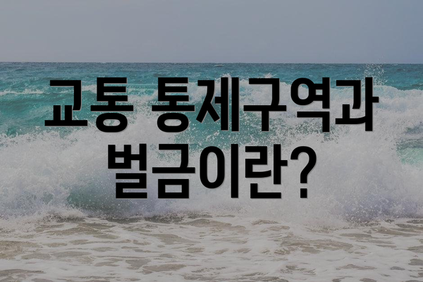 교통 통제구역과 벌금이란?