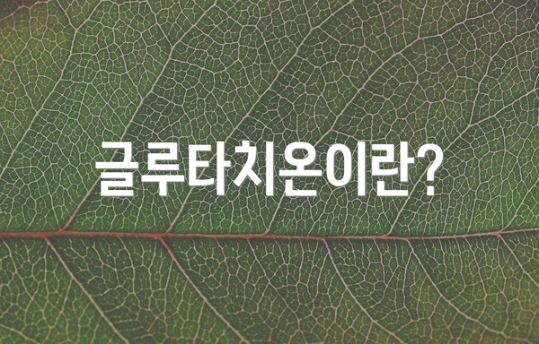 글루타치온이란?