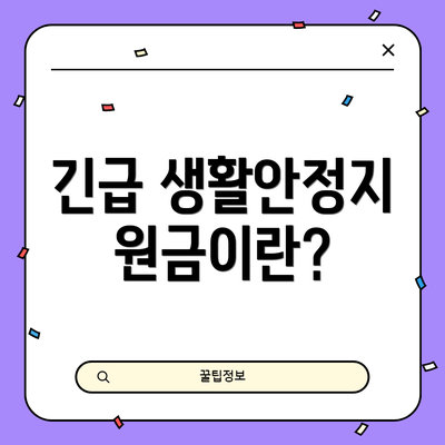 긴급 생활안정지원금이란?