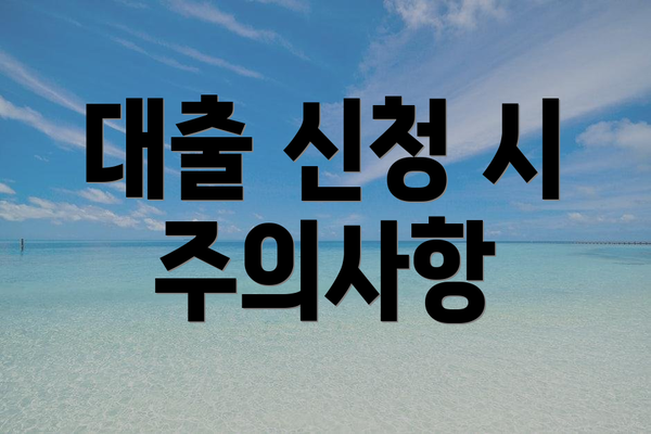대출 신청 시 주의사항