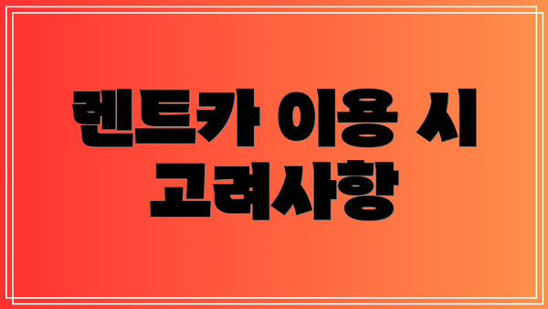 렌트카 이용 시 고려사항