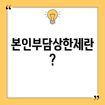 본인부담상한제란?