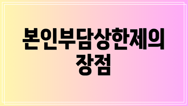 본인부담상한제의 장점