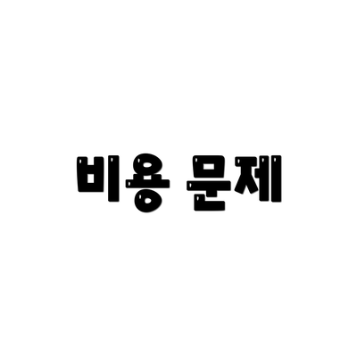 비용 문제