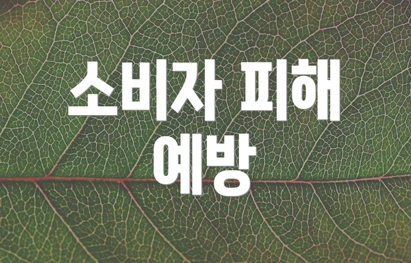 소비자 피해 예방