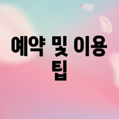 예약 및 이용 팁