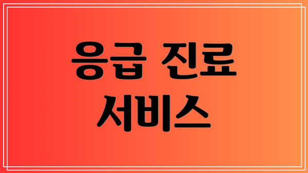 응급 진료 서비스