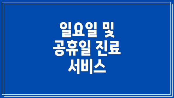 일요일 및 공휴일 진료 서비스